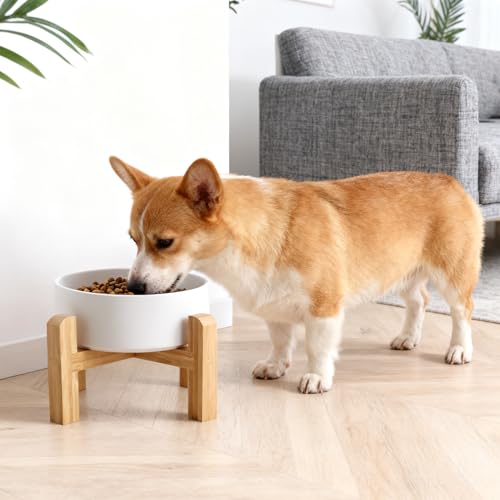 Elevated Raised Ceramic Dog Bowl with Bamboo Stand (White / Medium)