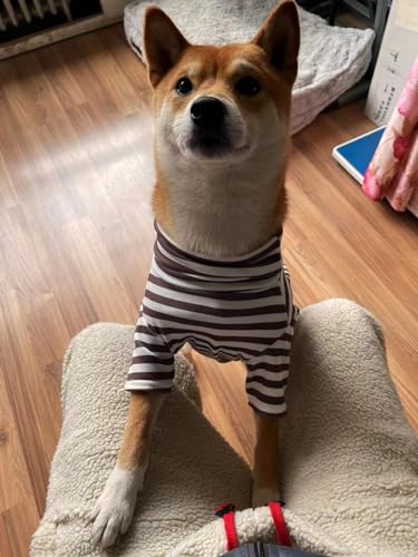 Turtleneck Dog Shirt Cute Doggie Embroidery Super Soft Dog Sweatshirt Stretchy Striped Puppy Pullover for Cats Small Medium Large Dogs (Brown Striped / XXXX-Large)