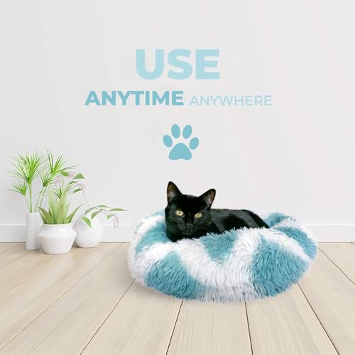 Cat Beds for Indoor Cats & Small Dog (Teal-White / 20.00" x 20.00" x 6.00")