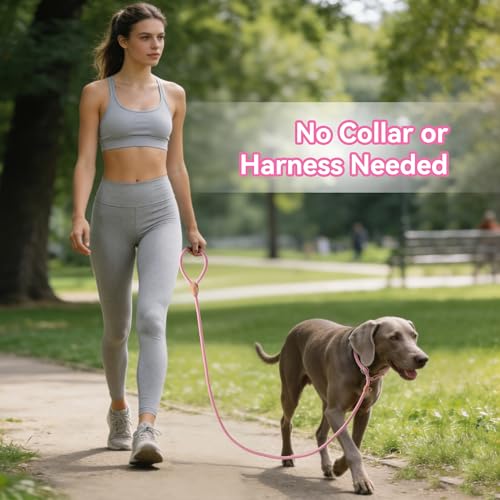 Heavy Duty Slip Lead No Pull Leash 6 (Pink / 4 Feet)