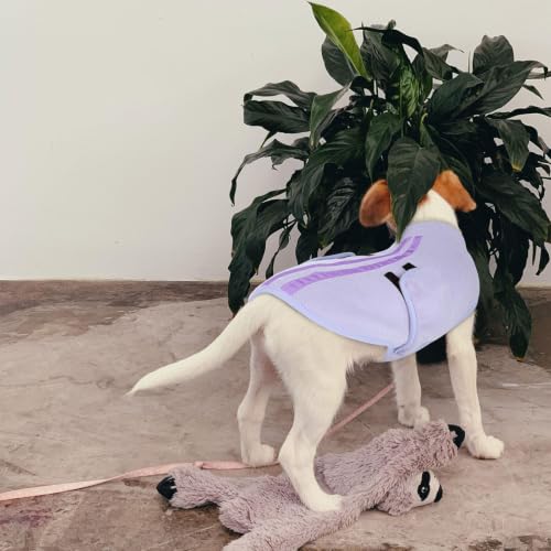 Cat Sweater Soft Fleece Dog Vest Warm Dog Jacket with Leash Hole (Lilac / XX-Small)