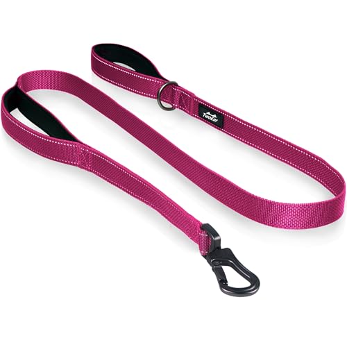 4FT 1IN Heavy Duty Dog Leash for Large Dogs with 2 Padded Handles (Rose / 1 in x 4 ft)