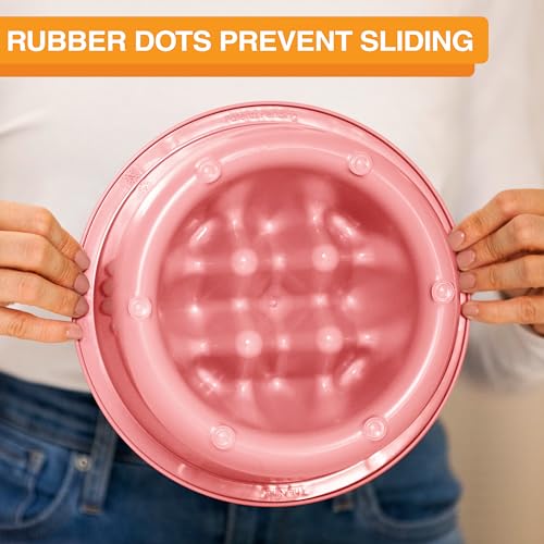 The Niner Slow Feed Bowl (Pink / 2 Cup)