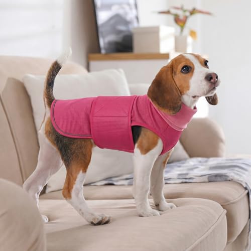 Dog Anxiety Vest with Hoodie (X-Large / Rose Red)