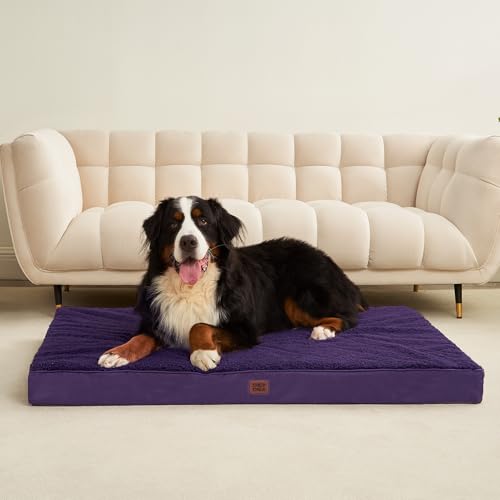 Orthopedic Dog Bed Extra Large with Removable Washable Cover (50*36*4 inches / Purple)