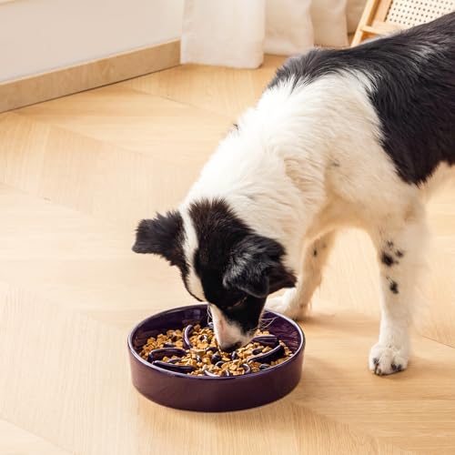 Ceramic Slow Feeder Dog Bowls (L-3 Cups / Purple)