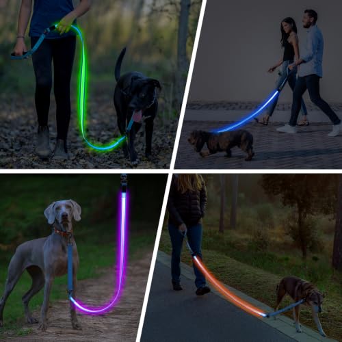 Light Up Dog Leash (Blue / 6FT)