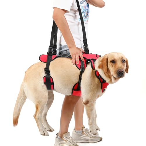 Dog Lift Harness (Red-1 / X-Large)