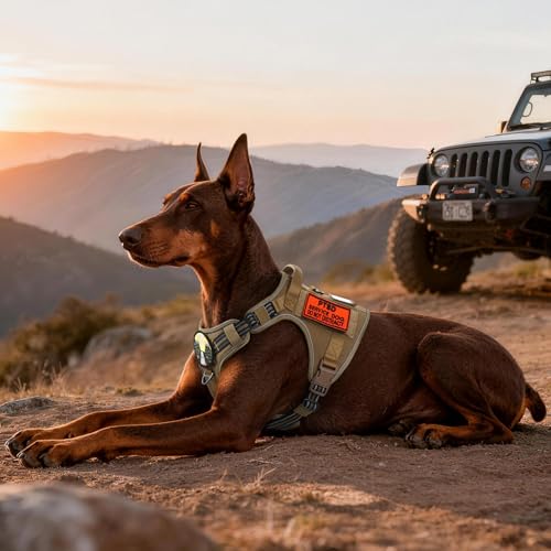 Tactical Dog Harness for Large Dogs (Xl(chest:23.6"-41.8",neck:21.7"-32.3",back:9.1") / Brown)
