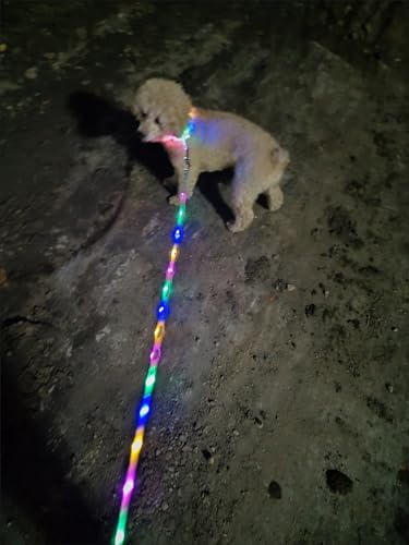 Light up Dog Leash USB Rechargeable for Small Medium Large Dogs (Bohemian purple / L59in/W1in)