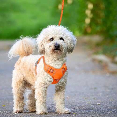 Dog Harness for Small Sized Dog No Pull Dog Vest ID Tag Pocket (Orange / X-Small)