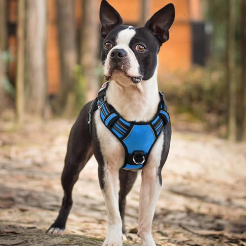 Dog Harness Small Sized (Blue / Small)