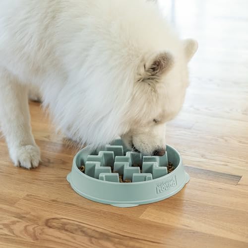 Fun Feeder Slo Bowl Dog Slow Feeder (Sage / Large)