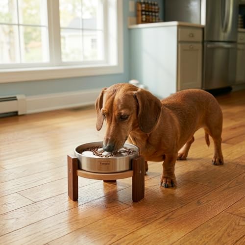 Elevated Dog Bowl Stand (4" Height 1Cup Slow Feeder)