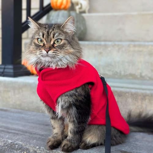 Dog Fleece Vest Sweater with Leash Ring (S (4-6lbs) / Red)