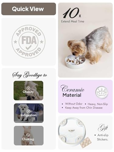 Ceramic Slow Feeder Dog Bowls Small Breed (Crown Silver / S-0.6 Cups)