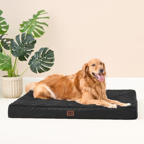 Orthopedic Dog Bed Large with Removable Washable Cover (41*27*3.5 inches / Black)