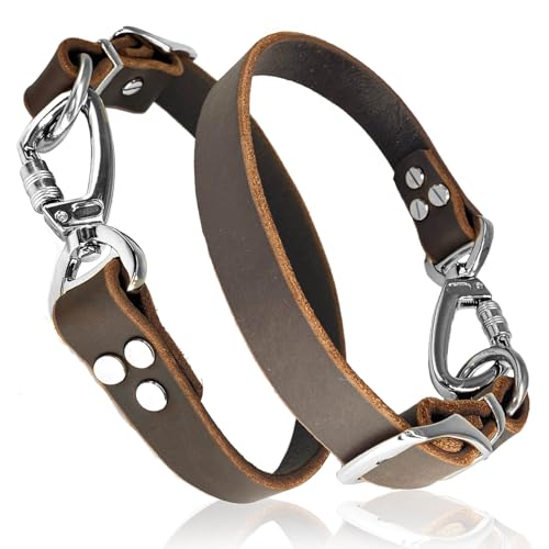 Leather Short Dog Leash (Width: 1.0" Length: 14-25")