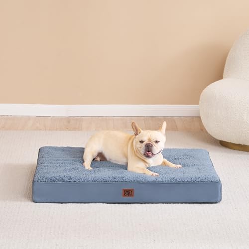 Orthopedic Dog Bed Large with Removable Washable Cover (35*23*3.5 inches / Spa Blue)