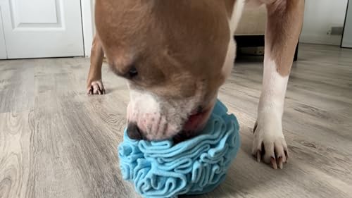Medium Breed Snuffle Foraging Dog Puzzle Ball Toy Blue Large (Blue / Large)