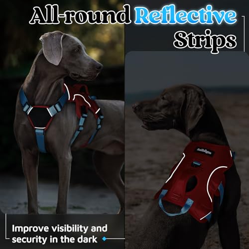 Escape Proof Dog Harness for Large (Sky Blue & Red / Large)