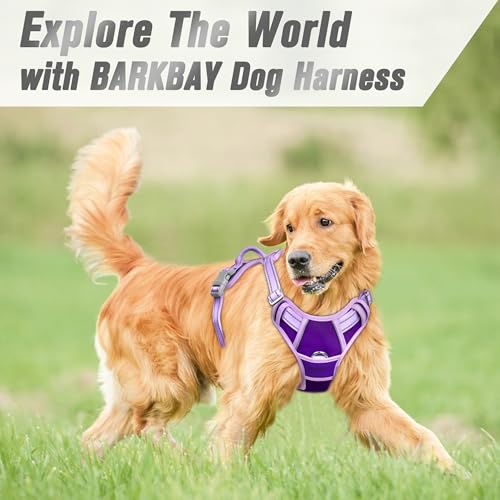 Dog Harness No Pull for Medium Sized Dog Front Back Clips (Medium(Chest:22.5-28") / Violet Purple & Purple)