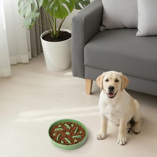 Ceramic Slow Feeder Dog Bowl (Maze - Green / 2 Cups)