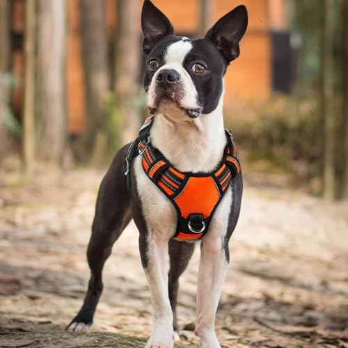 Dog Harness Small Sized (Orange / Small)