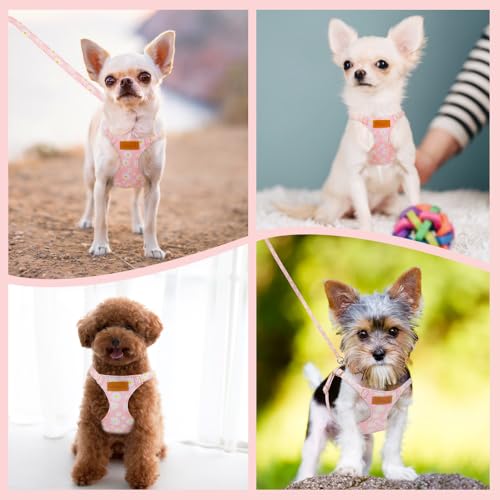 No Pull Dog Harness with Leash for Small Medium Dogs (Medium(18-31lb) / Pink Daisy)