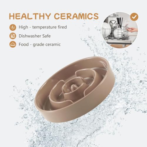 Elevated Slow Feeder Dog Bowls (Brown Coffee)