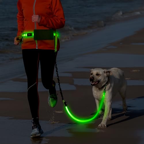 Light Up Waist Leash for Dog Walking (Green)