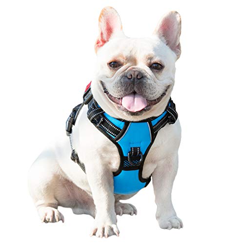 No Pull Dog Harnesses for Small Dogs Reflective Adjustable (Extra Small / Blue)