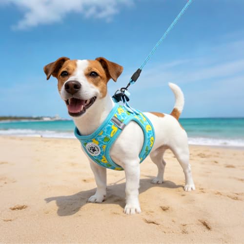 Dog Harness Medium Sized and Leash Set (Medium(Chest Girth 16" - 18") / Blue(Duck_))