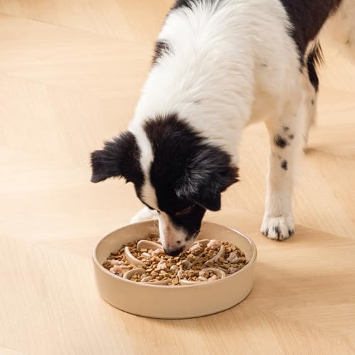 Ceramic Slow Feeder Dog Bowls (L-3 Cups / Brown)