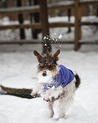 Stretch Fleece Vest Dog Sweater (Small Length (9") / Violet)