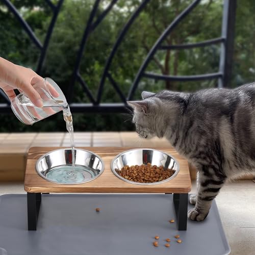 Upgraded Elevated Cat Bowls with Food Mat