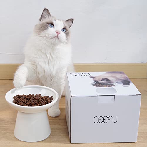 2 Pack Extra Wide Elevated Ceramic 6.2" Shallow Cat Food Bowls (White-2 Food Bowl)
