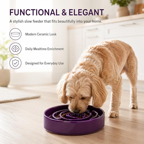 Ceramic Slow Feeder Dog Bowl (Purple)
