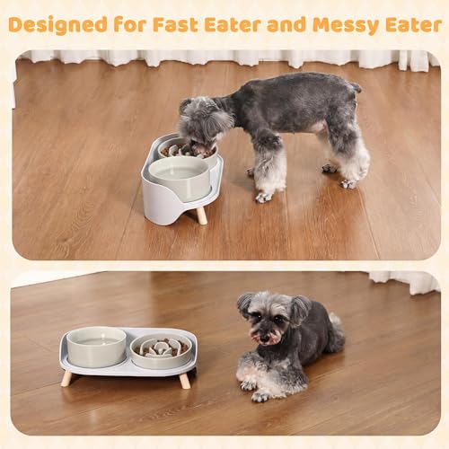 Elevated Slow Feeder Dog Bowls with Splash Proof Stand (Medium / Grey)