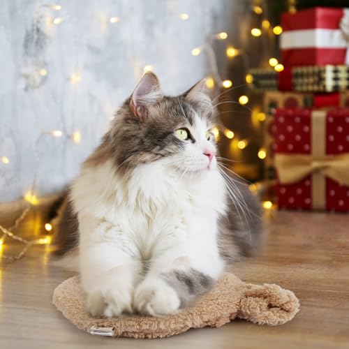 Heated Cat Bed Indoor (Heated Cat Bed Mat)