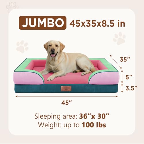 Orthopedic Dog Bed for Extra Large Dogs with Bolster (45.0"L x 35.0"W x 8.5"Th / Mint-Berry Dream)