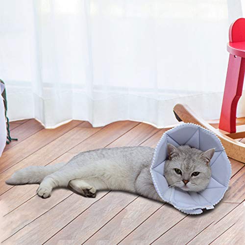 Soft Cat Recovery Collar (Small / Blue)