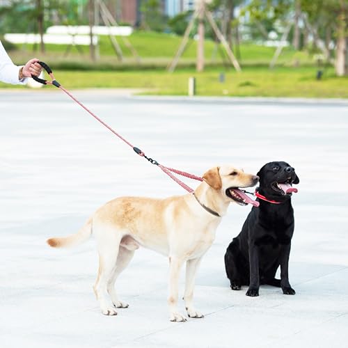 Double Dog Leash (Baby Pink / Medium)