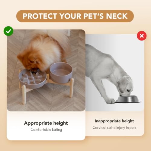 Elevated Slow Feeder Dog Bowls (Brown Coffee)