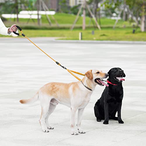 Double Dog Leash (Orange / Large)