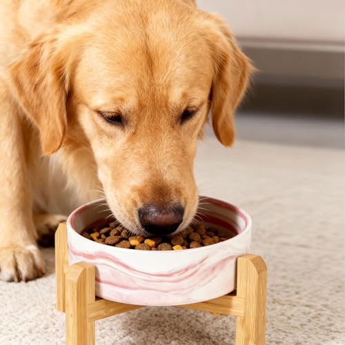 Elevated Raised Ceramic Dog Bowl with Bamboo Stand (Marble Pink / Large)