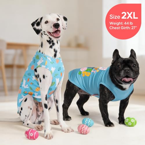 2Pack Easter Dog Shirt (XX-Large (40-55lbs) / 8# Easter)