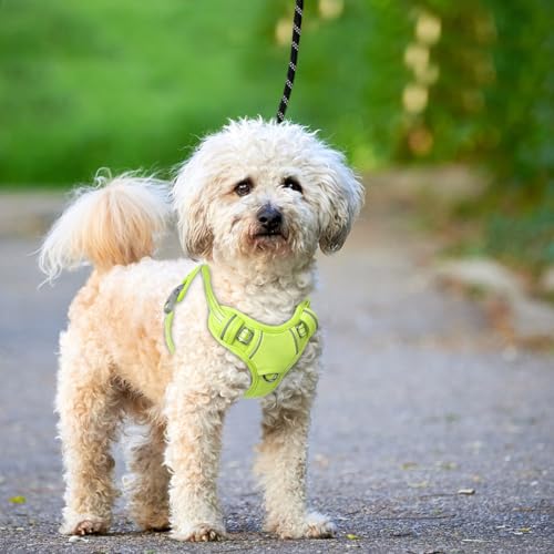 Dog Harness for Small Sized Dog No Pull Dog Vest ID Tag Pocket (Sunlight / X-Small)