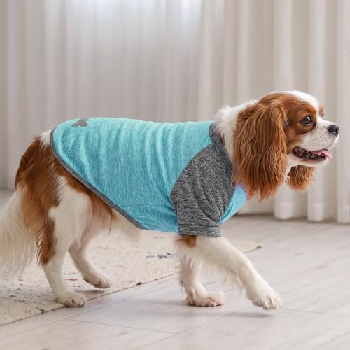 2Pack Dog Shirt for Medium Dogs Sun Protection Tank Top with Sleeves (X-Large (18-30lbs) / 2# 2Pack(Grey+Lake Blue))