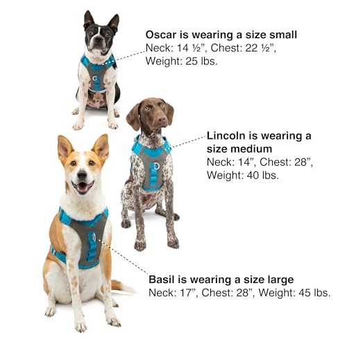 Journey Air Dog Harness (Small / Blue)